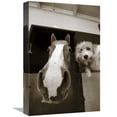 thumbnail image 1 of Global Gallery's 'Hanging Out' By Jim Dratfield Stretched Canvas Wall Art, 1 of 4