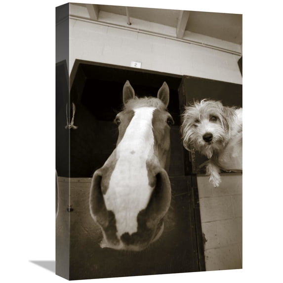 Global Gallery's 'Hanging Out' By Jim Dratfield Stretched Canvas Wall Art