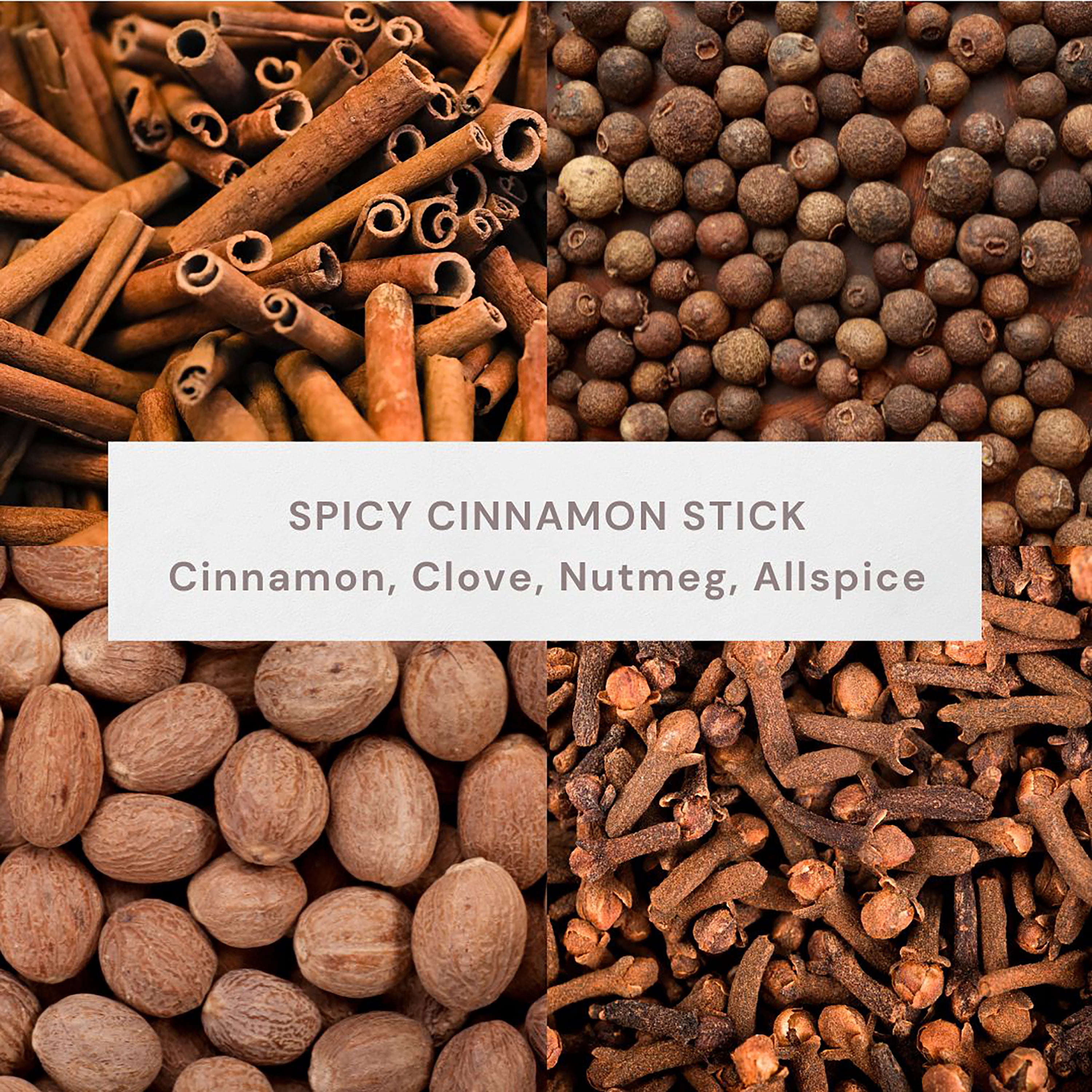 Better Homes & Gardens Spicy Cinnamon Sticks Scented 2-Wick 10oz (284.3 g) Medium Flocked Pumpkin Jar Candle
