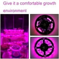 thumbnail image 2 of Waterproof LED Grow Light Strip USB Full Spectrum Lamp Indoor Plant Veg Flower O9H6, 2 of 9