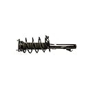 Suspension Strut Assembly