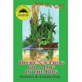 thumbnail image 1 of There's a Frog on a Log in the Bog, 1 of 2