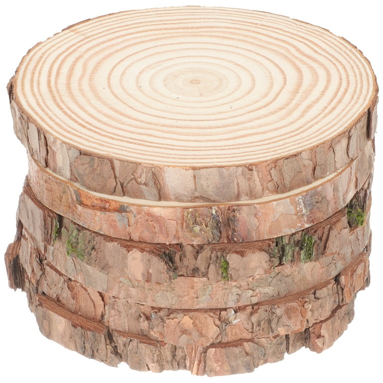 6pcs Natural Wood Slices Unfinished Round Wood Slices for Crafts