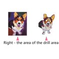 thumbnail image 2 of Kit de manualidades de pintura DIY Lovely Dog 5D Diamond Decoración del hogar 25x30cm Sunnimix DIY 5D Pintura Diamante, 2 of 8