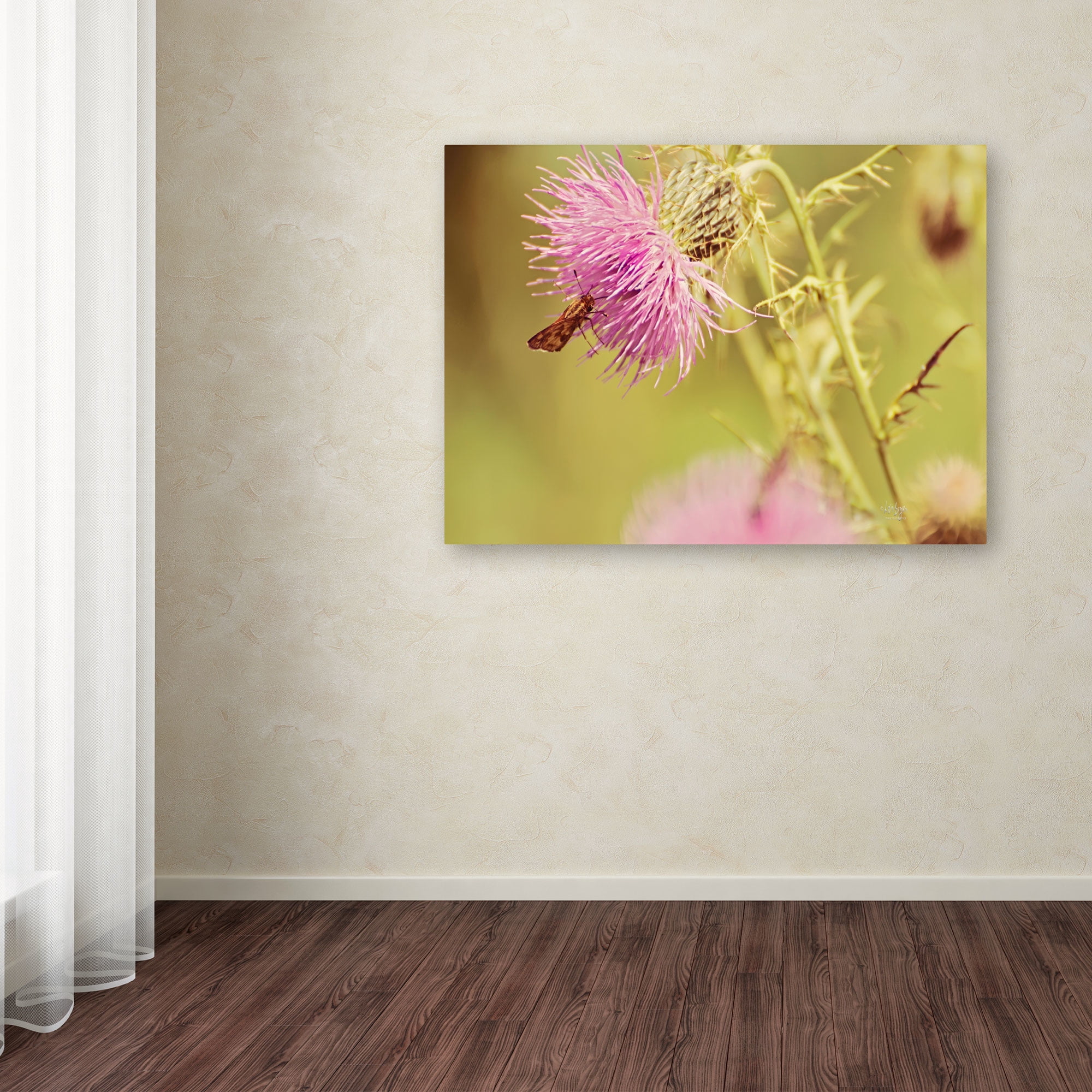 Trademark Fine Art "Skipper On Pink Thistle" Canvas Art by Lois Bryan
