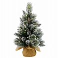 thumbnail image 1 of National Tree 266735 2 ft. Glittery Bristle Pine Artificial Tree, Warm White, 1 of 1