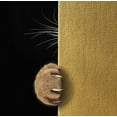thumbnail image 2 of Kuznetsova, Iryna 15x15 Black Ornate Wood Framed with Double Matting Museum Art Print Titled - Shy Cat ..., 2 of 4