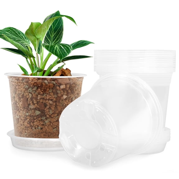 Clear Nursery Pots