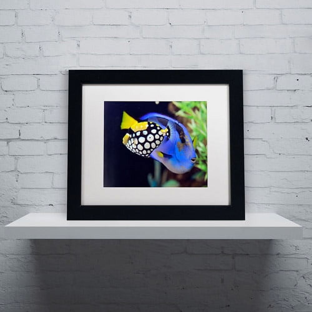 Trademark Fine Art "Colorful Tropical Fish" Canvas Art by Kurt Shaffer, White Matte, Black Frame