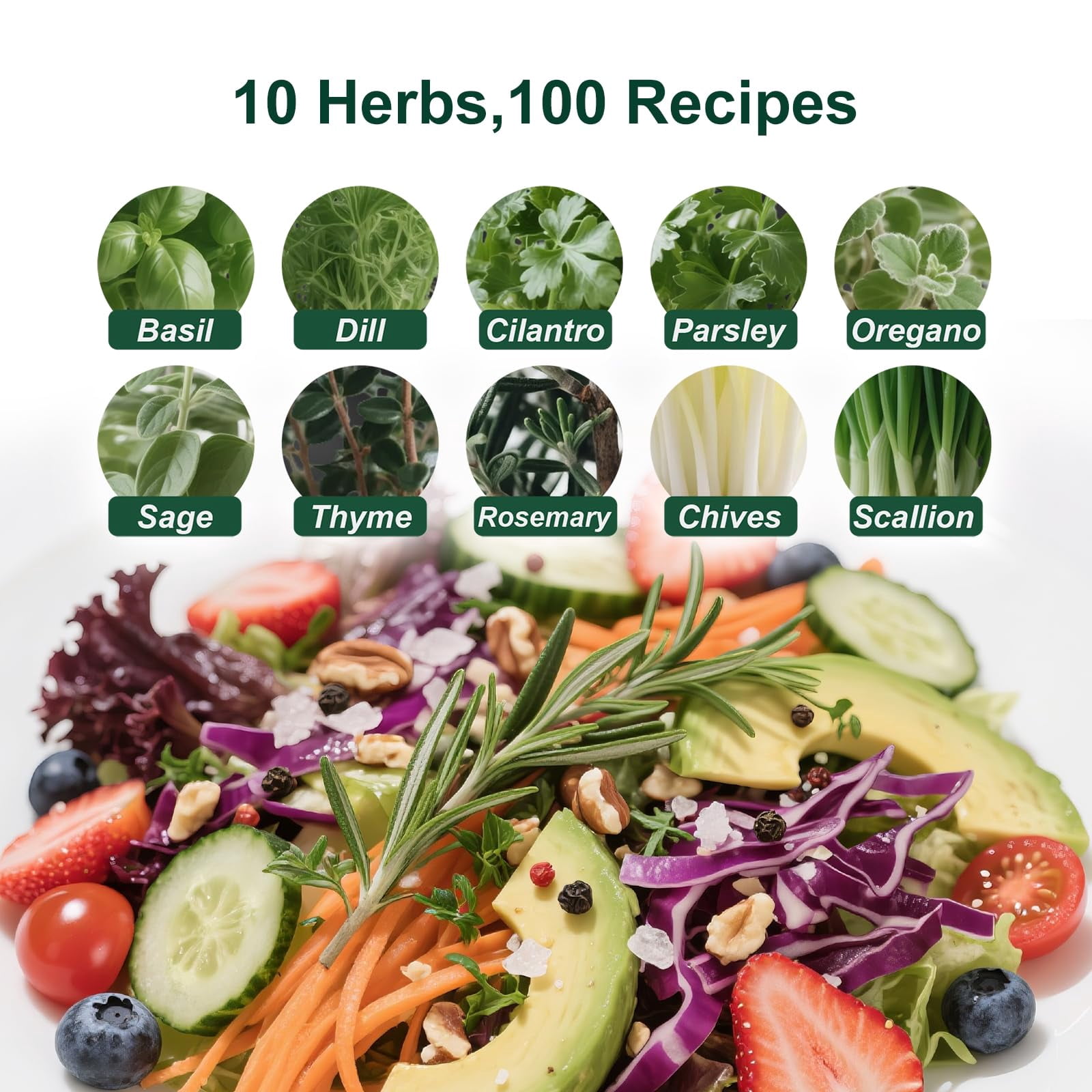 10-Piece Indoor Herb Garden Kit – 33-Piece Complete Starter Set for Kitchen Herbs, A Unique Gift Idea for Plant Lovers, Women, Men, Moms, Friends – Perfect for