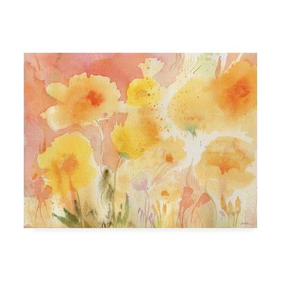 Trademark Fine Art 'Coral Sky, Yellow Garden' Canvas Art by Sheila Golden