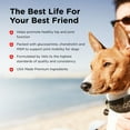 thumbnail image 5 of Nutri-Vet Hip & Joint Chewable Dog Supplements- Formulated with Glucosamine & Chondroitin for Dogs- 120 Count, 5 of 10