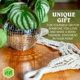 thumbnail image 6 of Macrame Plant Hanger with Short Rope (No Tassel) - 23 Inch - Cotton Macrame Cord for Boho Decor Flower Pots - Bohemian Chic Home Decor, Simple Indoor Outdoor Hanging Houseplants or Terrarium | Parent, 6 of 10