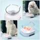 thumbnail image 1 of unbranded 1Ud Plato Inclinado Para Mascotas Con Material Resistente Y De, 1 of 8