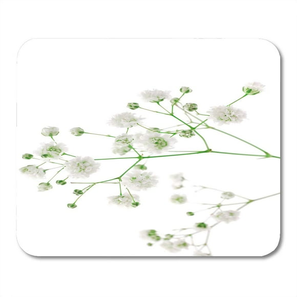POGLIP Colorful Mini Green Field Small White Flowers Yellow Floral Botanical Mousepad Mouse Pad Mouse Mat 9x10 inch