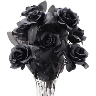 Black Roses - Tinted Black Roses For Sale