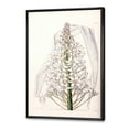 thumbnail image 3 of Designart 'White Vintage Orchid I' Traditional Framed Canvas Wall Art Print, 3 of 5