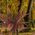 thumbnail image 5 of Artificial Fern Plants Faux Greenery Wall Decor Realistic Persian Leaf Plants for Indoor Outdoor Garden Patio Vertical Wall Decoration,1 Bundle,B, 5 of 6