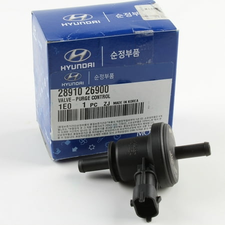 Genuine Hyundai Kia Purge Control Valve 06-13 for Accent Rio Soul (Best Kia Soul Accessories)