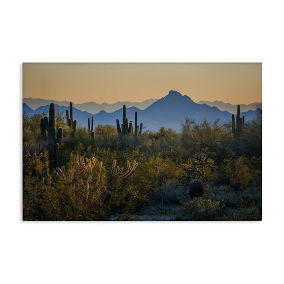 Stupell Industries Contrasting Desertscape Scene Landscape & Nature Photography Wrapped Canvas Art Print Wall Art, 24 x 16