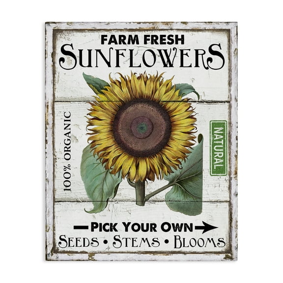 Stupell Industries Rustic Farm Fresh Sunflowers Plants & Flowers Painting Wrapped Canvas Art Print Wall Art, 16 x 20
