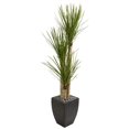 thumbnail image 1 of Nearly Natural 9305 63 in. Yucca Artificial Tree in Black Planter, 1 of 1