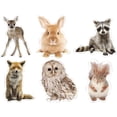 thumbnail image 2 of Carson Dellosa Education, CDP120564, Woodland Whimsy Animals Cut-Outs Set, 36 / Pack, Multicolor, 2 of 2