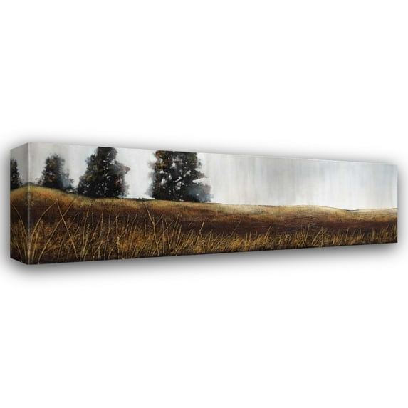 Patrick St.Germain 40x16 Gallery Wrapped Canvas Wall Art Titled - Summer Lights