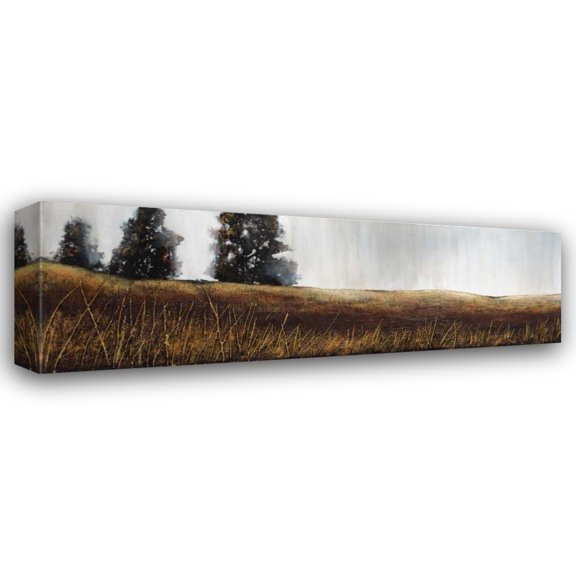 Patrick St.Germain 24x11 Gallery Wrapped Canvas Wall Art Titled - Summer Lights