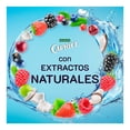 thumbnail image 2 of Shampoo Caprice Naturals Frutos Rojos y Agua de Coco 760 ml, 2 of 5