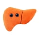 thumbnail image 1 of GIANTmicrobes Liver Plush – Juguete anatómico para órganos, Buen regalo para postoperatori GIANT MICROBES GIANT MICROBES, 1 of 2