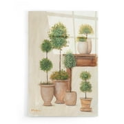 Epic Art 'Potting Bench & Topiaries I' by Pam Britton, Acrylic Glass Wall Art, 16"x24"