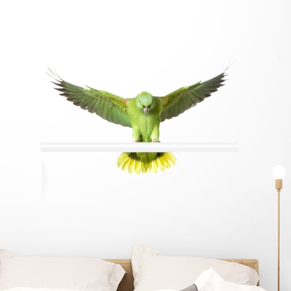 Nape Graphics Amazon Yellow Nape Amazona Wall Decal by Wallmonkeys Peel and Stick ...