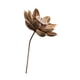 thumbnail image 5 of Ramo de flores secas Strade Fareast Limited decoración del hogar Estilo C, 5 of 8