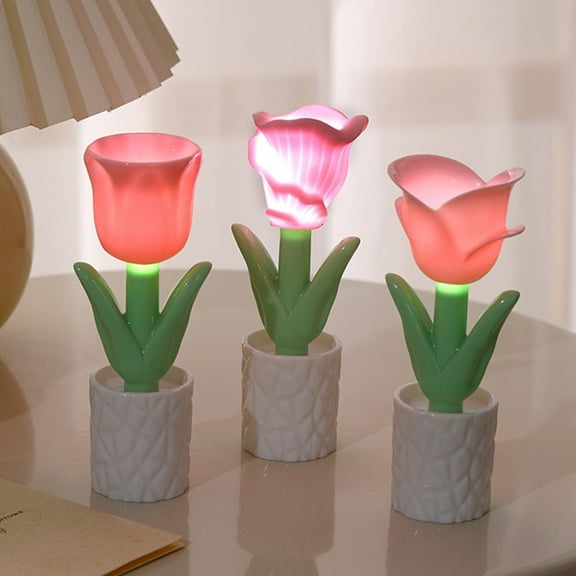 Fufafayo under $5 3Pcs Preserved Flower Night Light, Preserved Flower Night Light, Floral Decor Lamp, Mini Ambient Light for Home, Valentine's Day Gift, Bedside Table Lamp, Desktop Decor