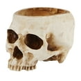 thumbnail image 2 of Joernso Skull Planter Succulents Plan Pot Resin Flowerpot Halloween Sculpture Decor for Home Garden Decoration, 2 of 8