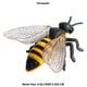 thumbnail image 1 of Figuras de animales realistas de flomno Flormoon Flormoon, 1 of 2