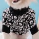 thumbnail image 4 of Dog Clothes for Small Dogs Designer Luxury Pet Sweaters Pomeranian Chihuahuas Cat Dog Clothing Pet Supplies ShopWise Round, 4 of 6