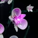 thumbnail image 5 of Kit de luces LED para el juego de construcción de decoración de plantas Lego Orchid 10311; Luces decorativas para construir una pieza de exhibición de suculentas para el hogar o la oficina (solo luces, 5 of 5