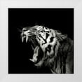 thumbnail image 1 of Meermann, Christian 12x12 White Modern Wood Framed Museum Art Print Titled - Primal Yawn 4, 1 of 4