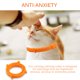 thumbnail image 4 of Collar De Gato Retráctil Ajustable Con Hebilla Para El Cuello, Elimina La Inquietud, Suministro De Entrenamiento Para Caminar, Productos Calmantes Para Mascotas, Tienda Para El Hogar Minnieouse PT001625-02, 4 of 6