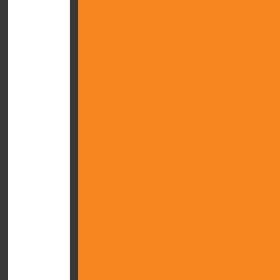 Basic Tape | Orange | Long Sleeve