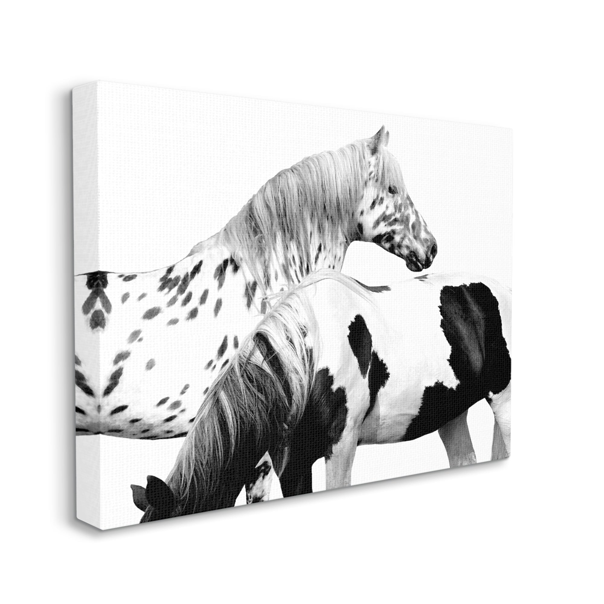 Stupell Industries Modern Grazing Speckled Horses Black White Photography, 30 x 24,Design by Samantha Carter