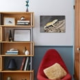 thumbnail image 4 of Closeup of Leopard gecko Eublepharis macularius in forest, Animals Stretched Canvas Wall Art Sold by Art.Com, 4 of 5