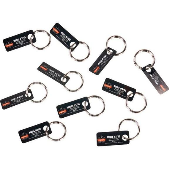 Ergodyne B3139726 Squids 3785 Split Ring Tool Attachment, Silver - 1 in. Size - Pack of 10