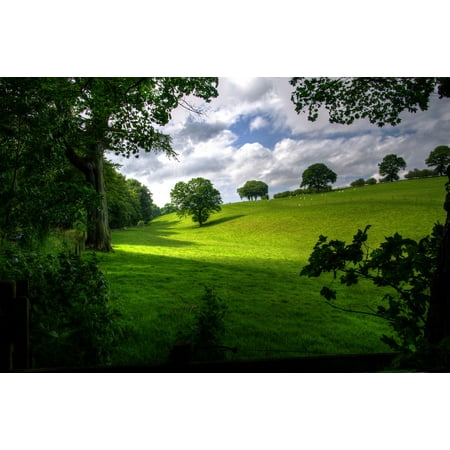 - LAMINATED POSTER Green Scenic Landscape Trees Nature Wood Spring Poster Print 24 x 36
