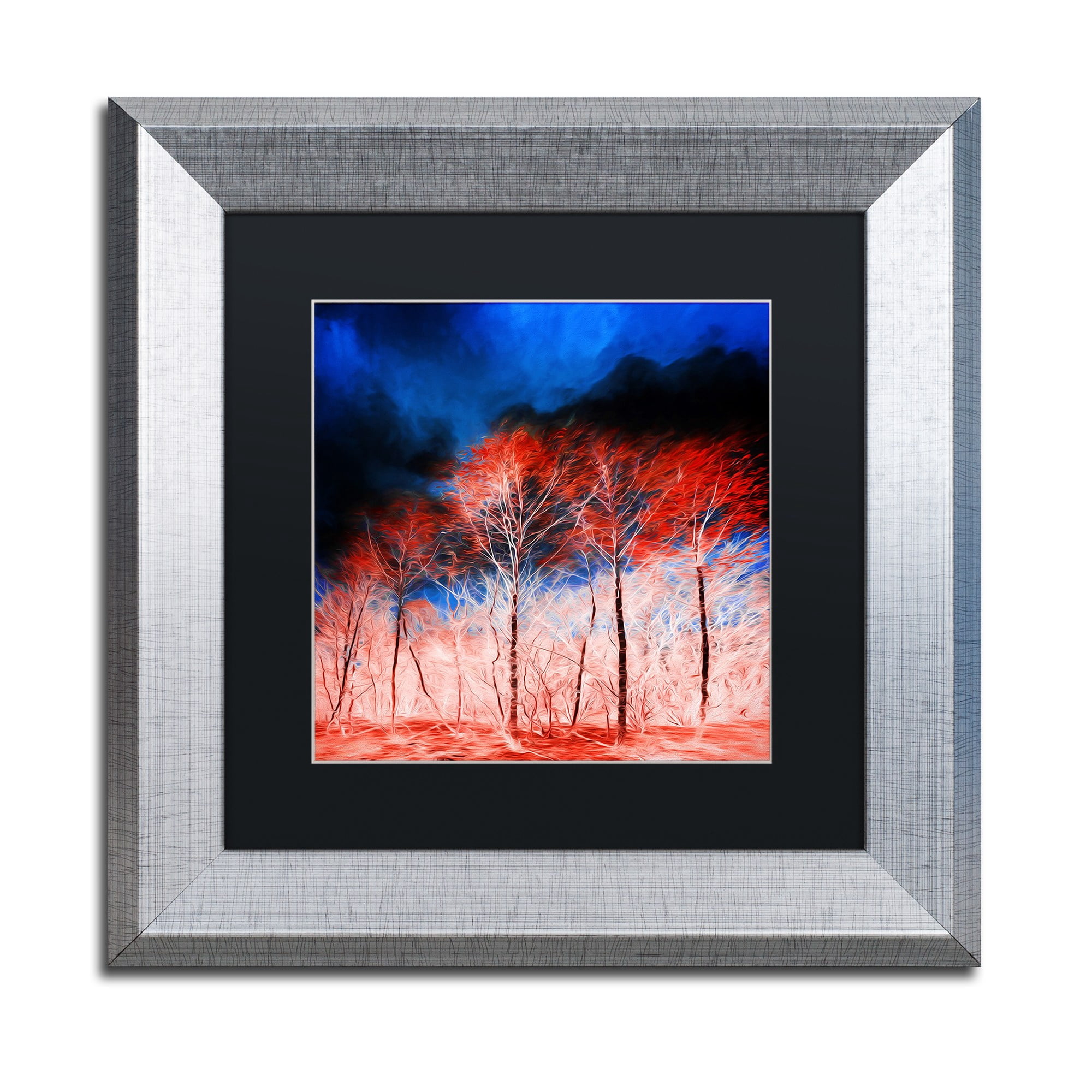 Trademark Fine Art "The Worst Is Yet To Come" Canvas Art by Philippe Sainte-Laudy Black Matte, Silver Frame