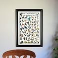 thumbnail image 3 of Birds of North America - Northeast Region Bird Poster - Educational Bird Chart, 3 of 4