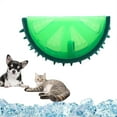 thumbnail image 3 of Jouet à Mâcher pour Chien en Forme de Fruit, Congelable, pour la Dentition et Interactif, au Design Estival, 3 of 5