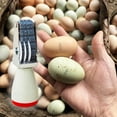 thumbnail image 5 of Homvik Egg Dater Kit Include 1 Date Stamp 4mm Rubber Egg Stamp, 2 Egg Safe Ink-RED&Black, 50 Pcs Farm Fresh Eggs Handling Instructions, Ink Pad Fresh Egg Stamper Ink Pad for Egg Mark Farm Accessories, 5 of 9